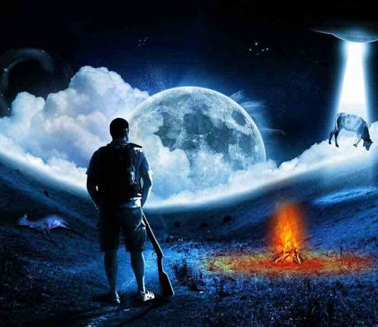 Destiny: The Dark Below Animation