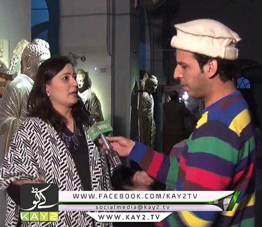 DISTRICT DIARY PESHAWAR ( 27-01-2017 )