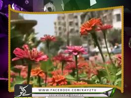 Metropolis Reloaded ( 21-03-2017 )