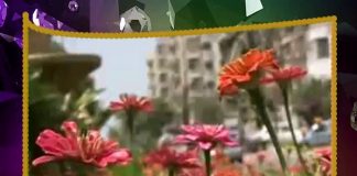 Metropolis Reloaded ( 21-03-2017 )