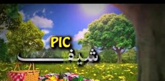 Picnic ( 13-01-2015 )