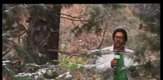 District Diary ( Abbottabad – 14-01-2015 )