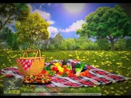 Picnic ( 27-01-2015 )