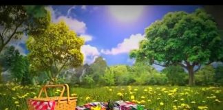 Picnic ( 27-01-2015 )