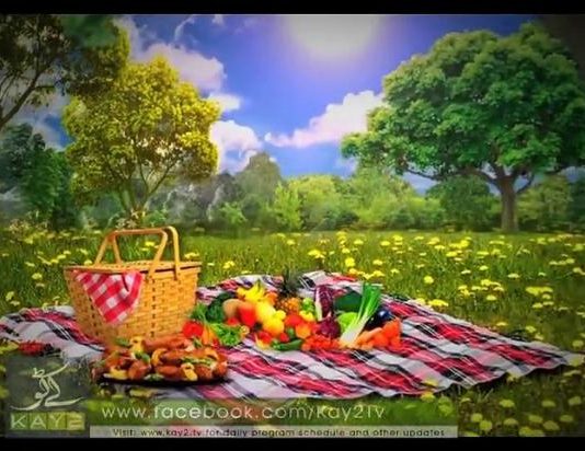 Picnic ( 27-01-2015 )