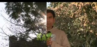 District Diary ( AZAD KASHMIR – 02-02-2015 )