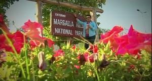 Picnic ( 03-06-2014)