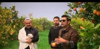 Picnic ( 12-02-2015 )