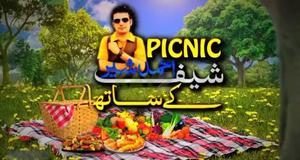 Picnic ( 10-06-2014 )