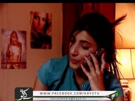 Laila ( EP # 29 – 27-07-2015 )