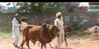 District Diary Dadhyali ( 24-09-2015 )