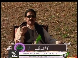 Dhedhee ( 30-10-2015 )