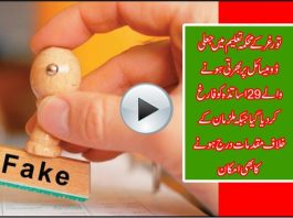 News PKG Torghar