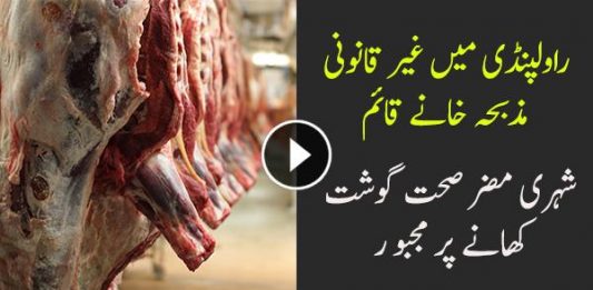 Illegal Slaughter Houses in Rwp