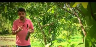 Picnic ( 02-09-2014)