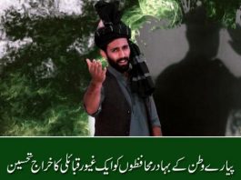 Aye Rahe Haq Ke Shaheedo Song By Moeez Ali