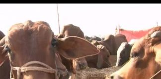 City News Islamabad ( 11-09-2016 )