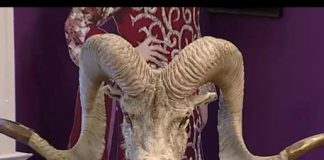 Kay2 Sehar With Mishi Khan ( 15-10-2016 )