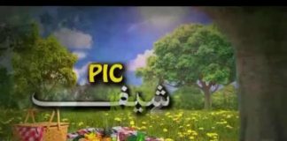 Picnic ( 30-09-2014 )