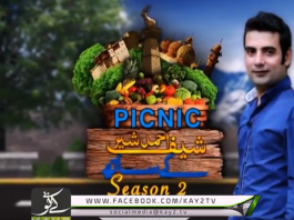 Picnic Ahmed Sher