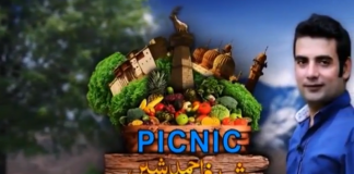 Picnic Ahmed Sher