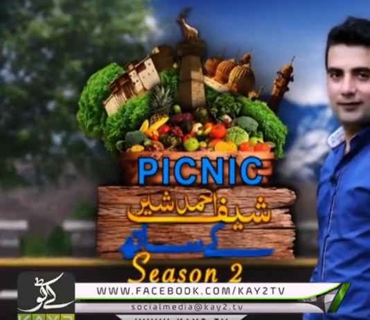 Picnic Ahmed Sher