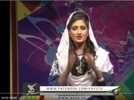 Sur Sanjhay ( 20-01-2019 )