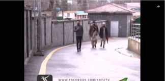 Shimla Point ( 13-03-2019