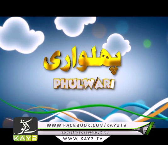 Phulwari |Ep # 02 | 28 07 2019 | Kay2tv Phulwari