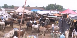 Ahwal E KP 10 08 2019