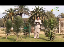 Ik Kitaab Hazaray Di | Tehal Sehwa | Kay2 TV Ik Kitaab Hazaray Di