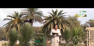 Ik Kitaab Hazaray Di | Tehal Sehwa | Kay2 TV Ik Kitaab Hazaray Di