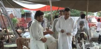 Ahwal E Potohar with Qasim Sajjad | 15th July 2020 | Kay2 TV Ahwal E Potohar with Qasim Sajjad | 15th July 2020 | Kay2 Tv