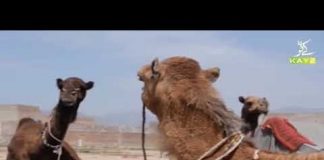 Ahwal E Khyber Pakhtunkhwa with Fazal Karim | 15th July 2021 | K2 | Kay2 TV