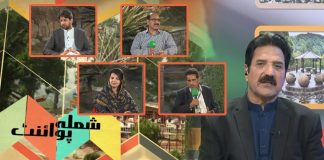 KP Baldiyati Intakhabat | Special Transmission | Shimla Point with Kashif Malik | 31 March | Kay2 TV