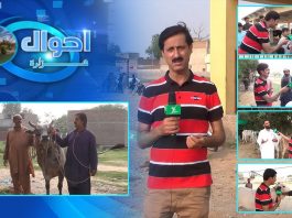 Haripur Cow Mandi | Ahwal E Hazara with Mehar Semab | 4th July 2022 | K2 | Kay2 TV