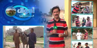 Haripur Cow Mandi | Ahwal E Hazara with Mehar Semab | 4th July 2022 | K2 | Kay2 TV