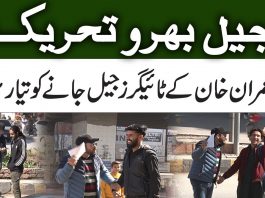 Kya Imran Khan Ky Tigers Giraftari Kay Lye Tyar Hain? Social Experiment | Sach Kya Hai | 22nd February 2023 | Kay2 TV