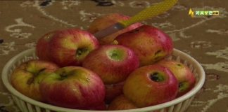 Prediction of Major Agricultural Fruits | Jan Jan Balochistan | 30 March 2023 | Kay2 TV