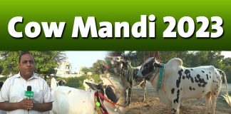 Cow Mandi 2023 | Ahwal e Kashmir | 21st June 2023 | Kay2TV