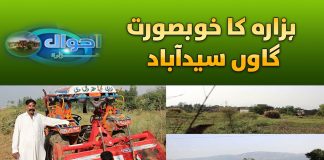 Hazara Kay Gaon Sayedabad Kay Masail | Ahwal E Hazara | 17th October 2023 | Kay2 TV