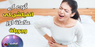 Kidney Infection – Symptoms and Causes | Homeopathic | Sehat Aur Tandrusti | 25th November 2023 | Kay2TV