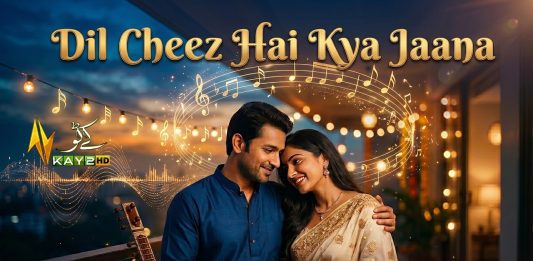 Dil Cheez Hai Kiya Jaana | Beautiful Romantic 🎵 Song | Kay2 Music