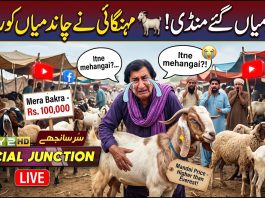 Chand Miyan Gaye Mandi! 🐐 Mehangai Ne Chand Main Ko Rula Diya | Social Junction | Sur Sanjay | Kay2TV
